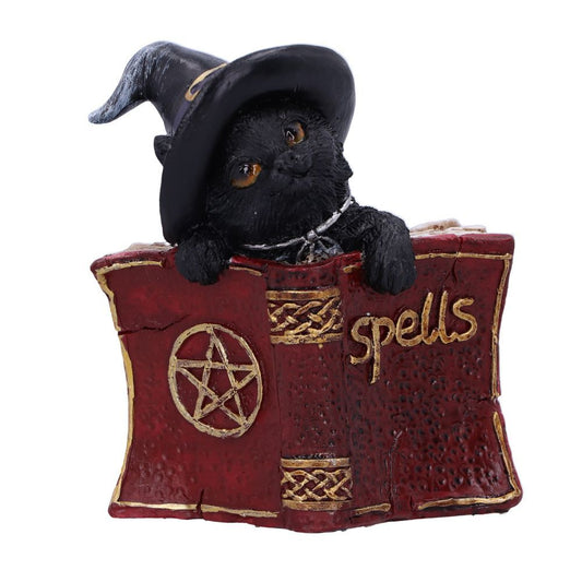 Black Cat With Spell Book Ornament