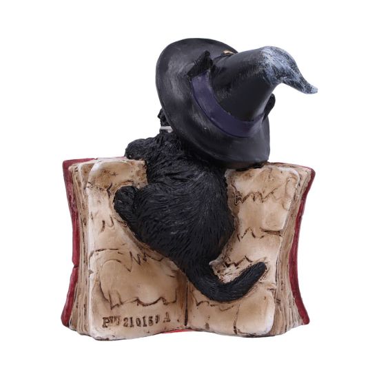 Black Cat With Spell Book Ornament