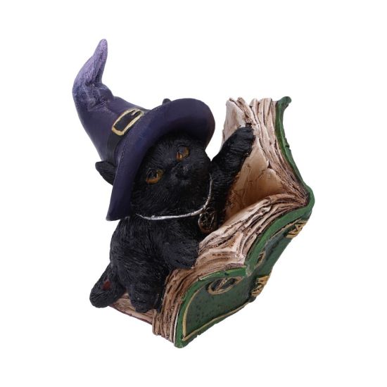 Black Cat with Spell Book Ornament