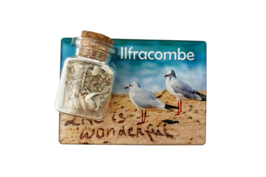 Seagulls & Bottle Magnet - Bournemouth