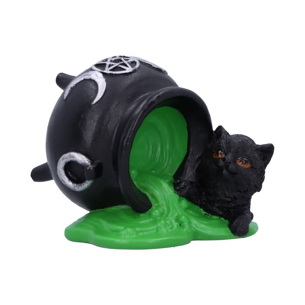 Ooops! Black Cat Ornament