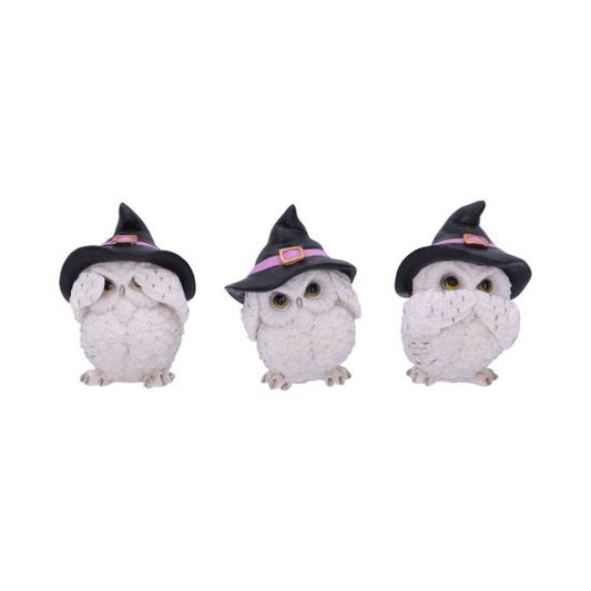 Three Wise Feathered Familiars Ornament