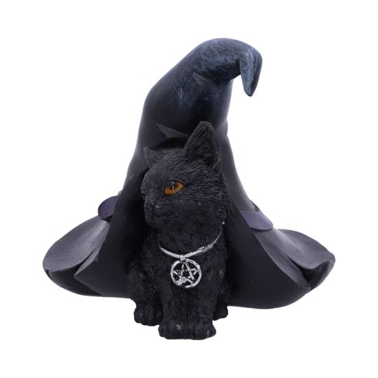 Witches Hat Black Cat Ornament